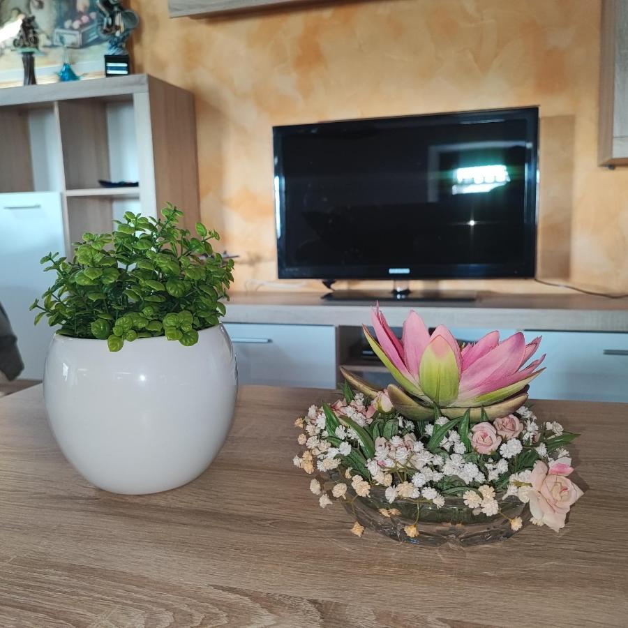 Apartament Casa Zanier Aviano San Martino di Campagna Zewnętrze zdjęcie